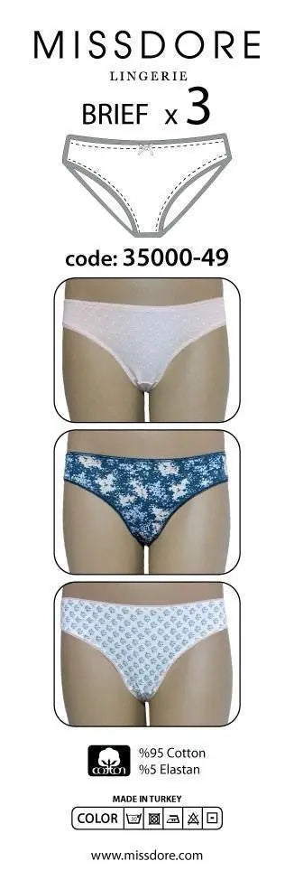 Brief panty 04246